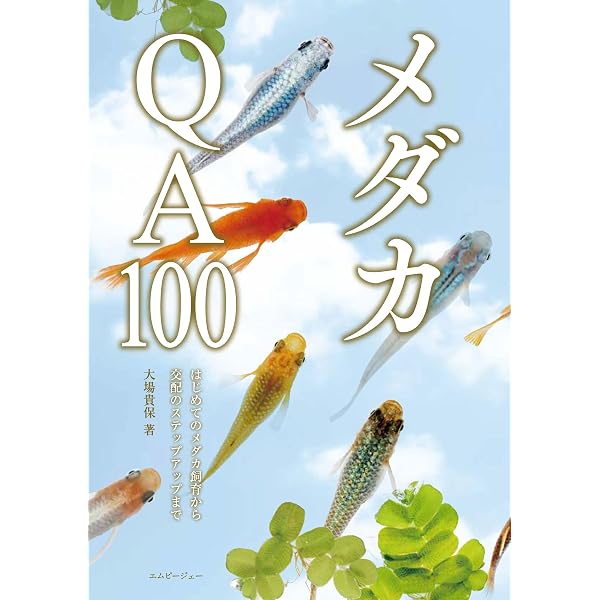 メダカ飼育かかり様 まとめご依頼品 未開封 輸入盤 Amazon.co.jp: Medaka ProFile 100 Extra メダカの飼: メダカの飼育を
